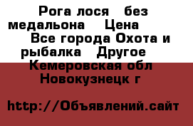 Рога лося , без медальона. › Цена ­ 15 000 - Все города Охота и рыбалка » Другое   . Кемеровская обл.,Новокузнецк г.
